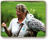 Vogelpark Marlow